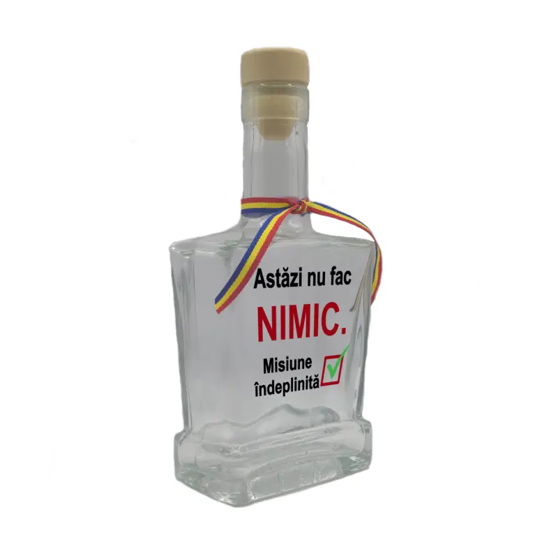 Astazi nu fac nimic, sticla cu mesaj plata, 500 ml, model divgs179 29